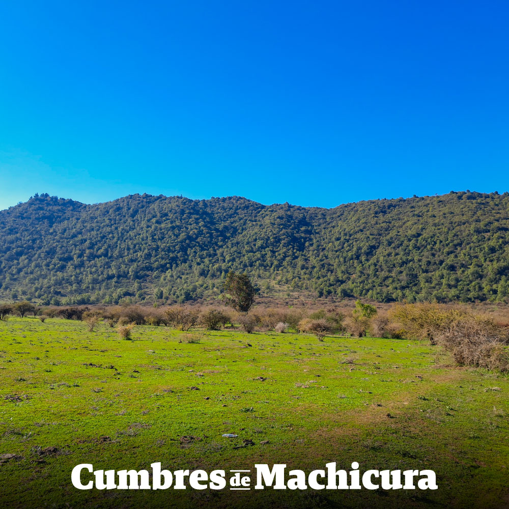 Cumbres de Machicura