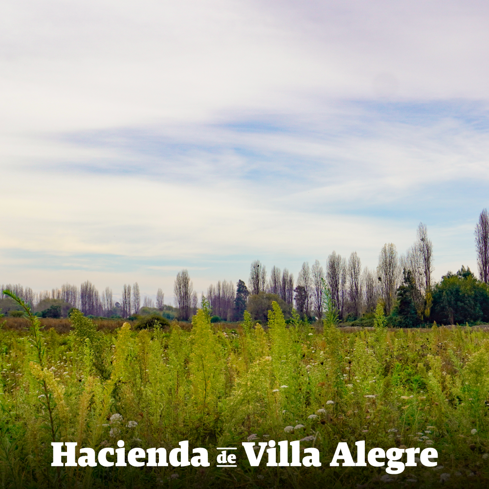 Hacienda Villa Alegre