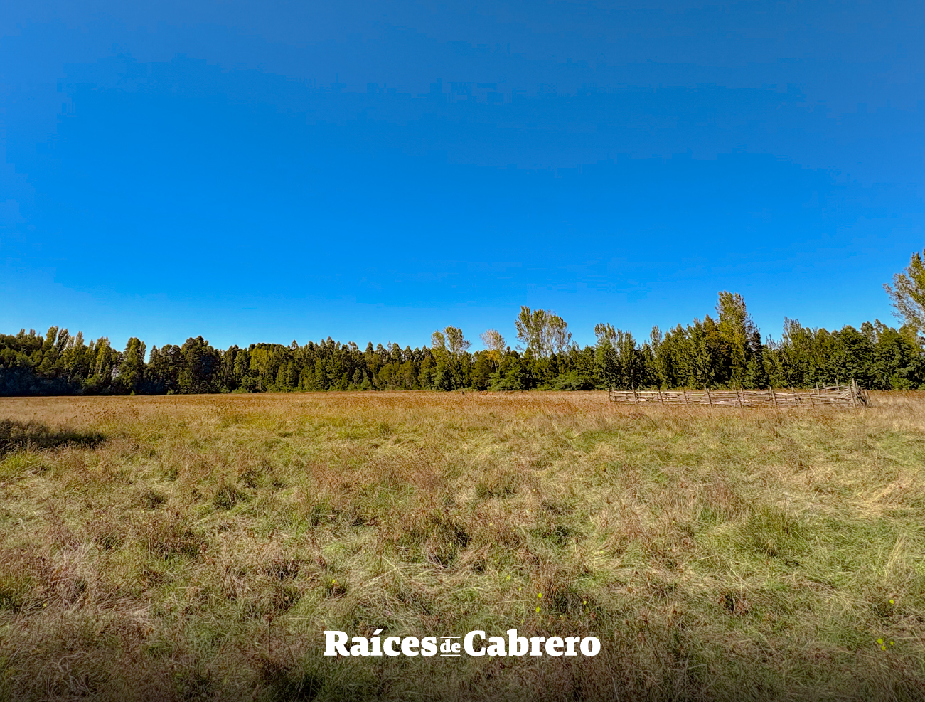 Raices de Cabrero