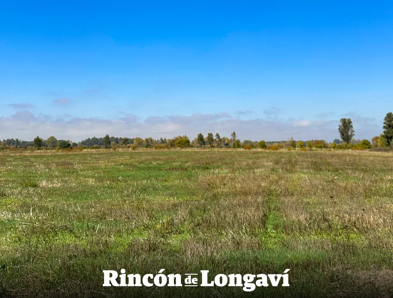 Rincón de Longavi