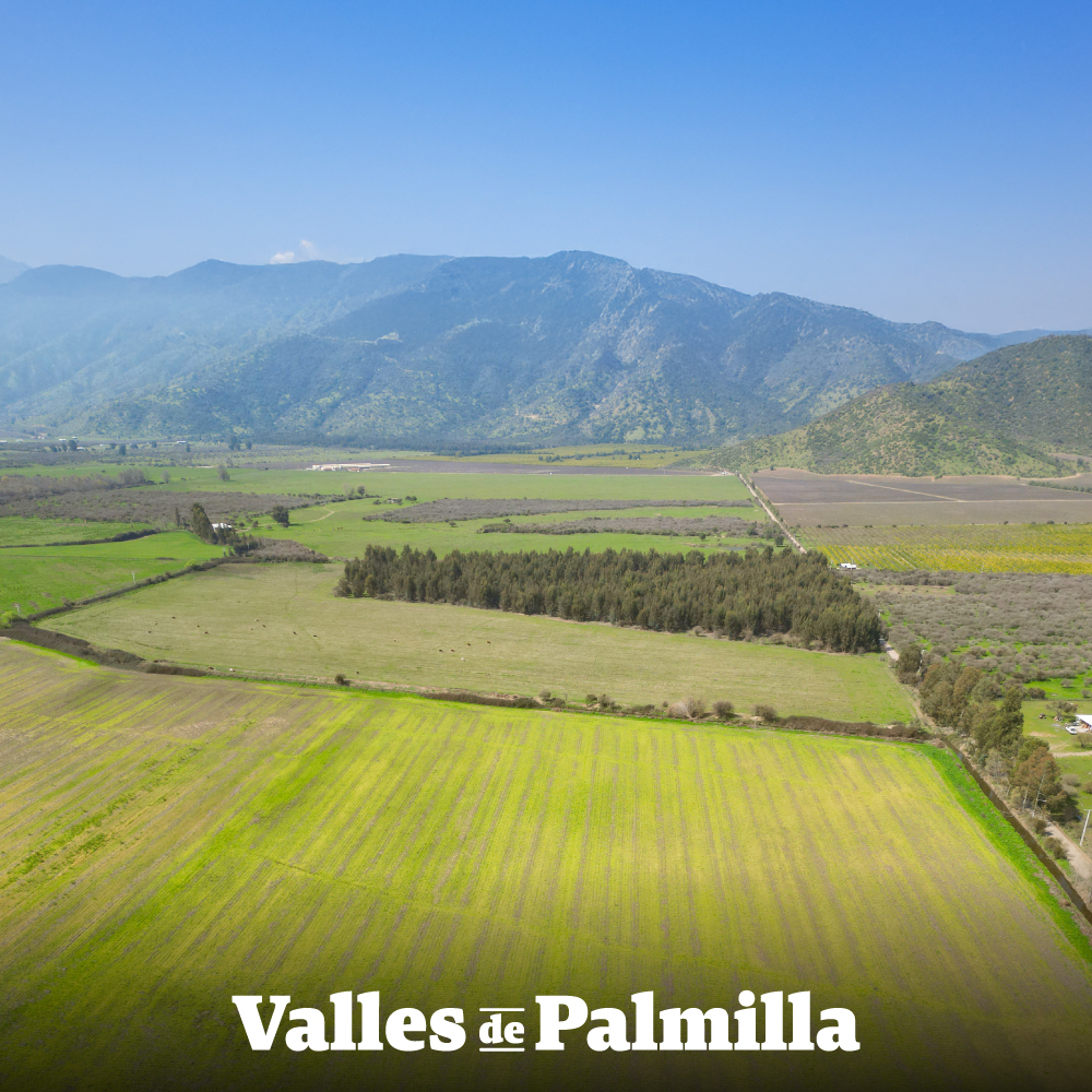 Valles de Palmilla