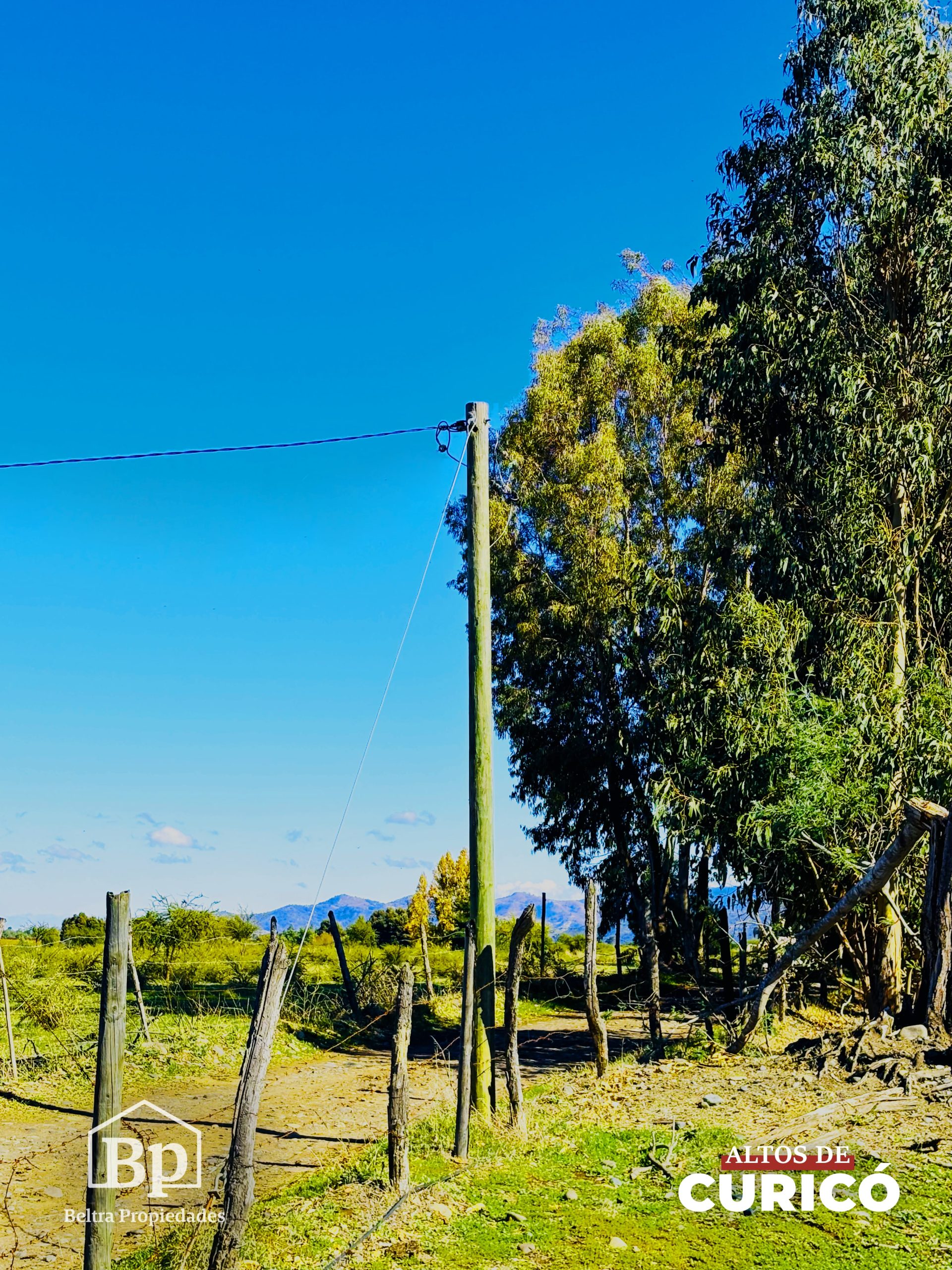 Avance Galería