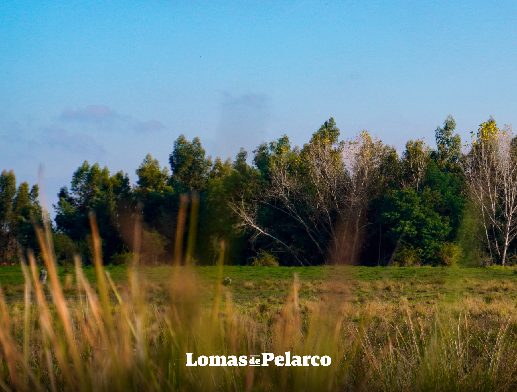 Lomas de Pelarco