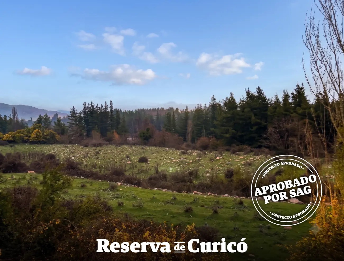 Reserva de Curicó